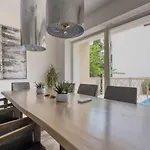 Damiani
